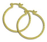 Brinco de Argola Folheado a Ouro